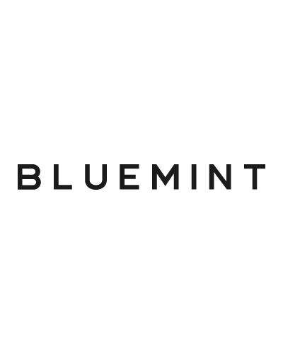 Bluemint